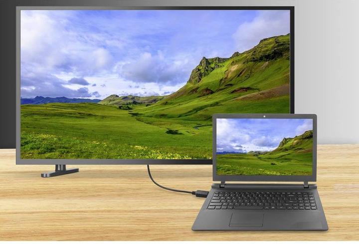 Image du produit Renkforce DisplayPort — DVI (1.80 m, DVI, DisplayPort)