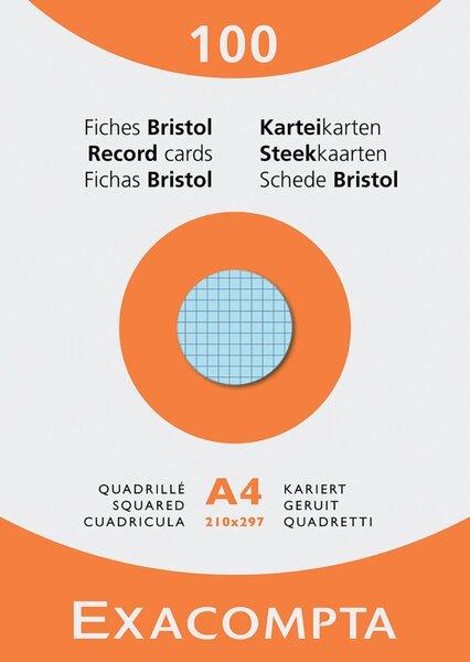 Immagine prodotto Exacompta Schede di valutazione (210 x 297 mm, 205 g/m², 100 x)