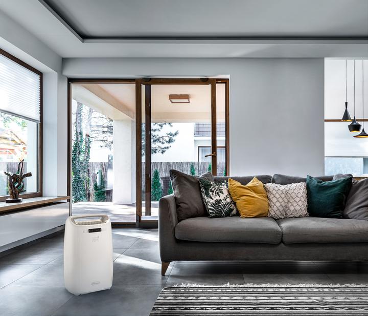 Immagine prodotto De'Longhi DEXD214RF (14 l/24h)