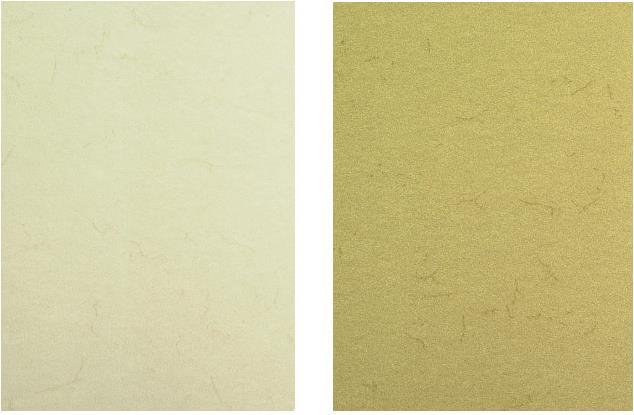 Image du produit Folia Papier peau d'éléphant (110 g/m², 1 x)