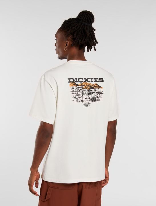 Actual product image Dickies Landascape Ss Tee Egret (XXL)
