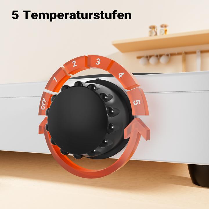 Actual product image Wiltec Doppelkochplatte