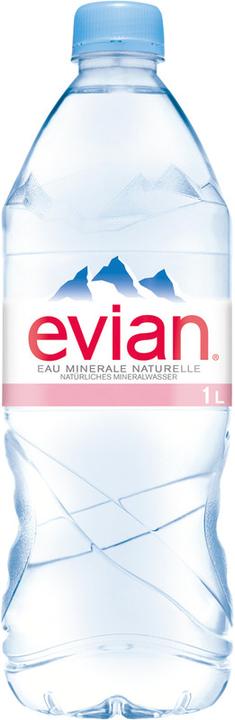 Evian Mineralwasser PET (1 x 100 cl)
