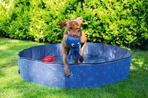 Immagine prodotto Karlie Doggy
