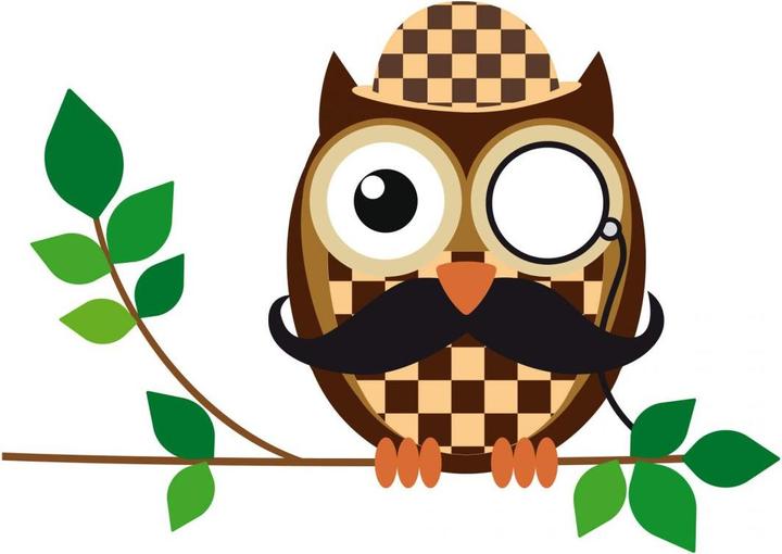 Actual product image Trenddeko Door peephole decoration - Sherlock owl (24 x 17 cm)