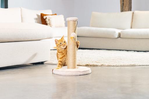 Actual product image Designed by Lotte Scratching post (50 cm, Rose)