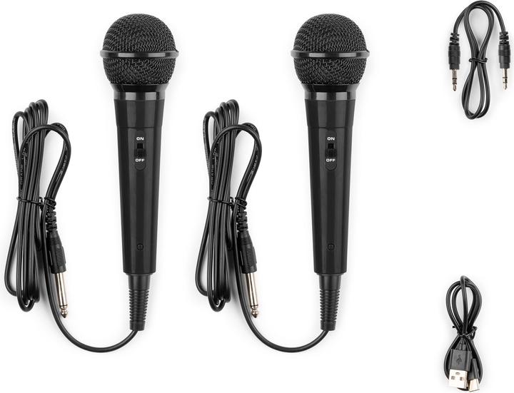 Immagine prodotto Fenton Altoparlante KAR15B con 2 microfoni (1x 15 W)