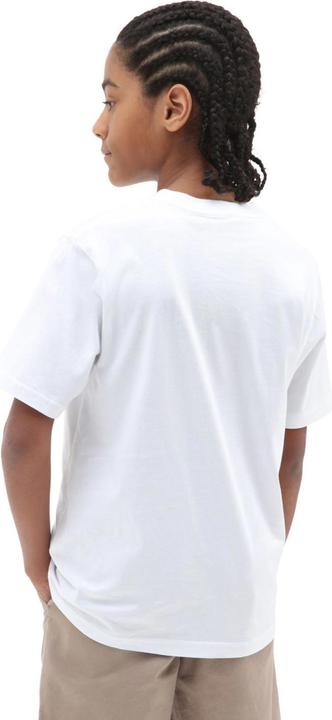 Actual product image Vans M33346 (M)