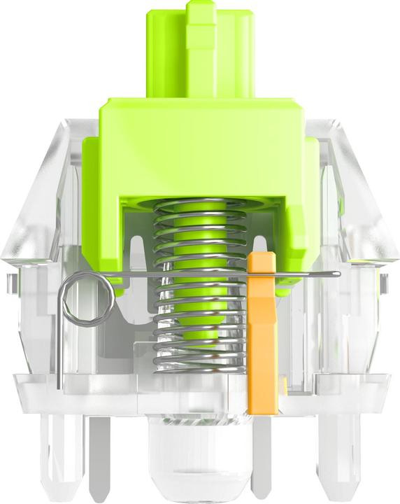 Produktbild Glorious Raptor Standard Switch, mechanisch, 5-Pin, clicky, MX-Stem, 55g - lubed, 36 Stück