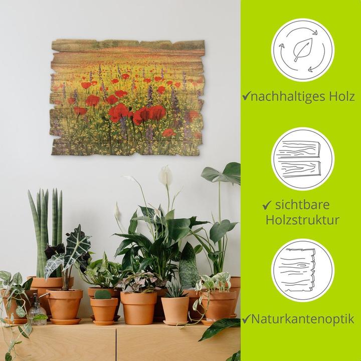 Immagine prodotto Artland Campo di papaveri H6LI (40 x 30 cm)