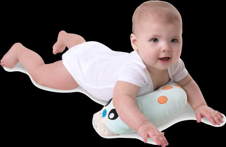 Immagine prodotto Playgro Penguin