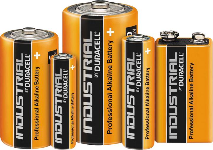 Actual product image Duracell Batteries Industrial (10 pcs., AA)