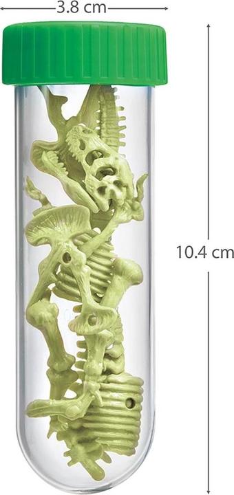 Produktbild 4M Leuchtendes T-Rex Skelett (Deutsch, Französisch, Englisch)