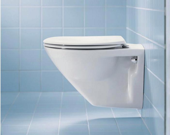 Immagine prodotto Duravit Sedile WC o soft close Scharn in acciaio inox pergamon