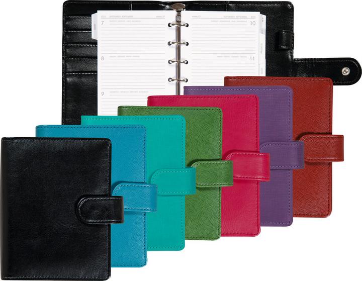 Produktbild Succes Junior Ringbuch Basic Medium (Spezial)