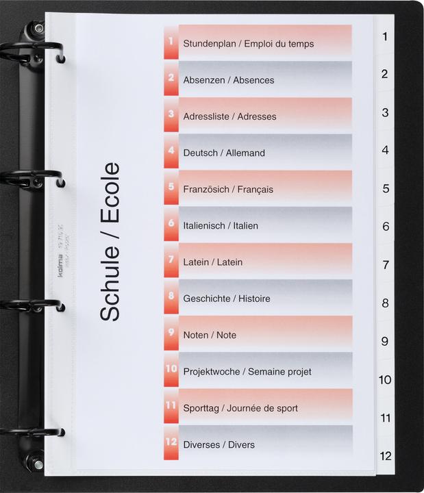 Actual product image Kolma Index pockets for A4 indexes (A4, 5 x)
