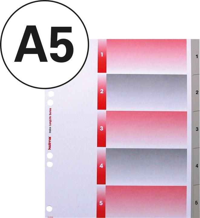 Immagine prodotto Kolma Registro LongLife XL formato pieno extra large grigio, con foglio indice