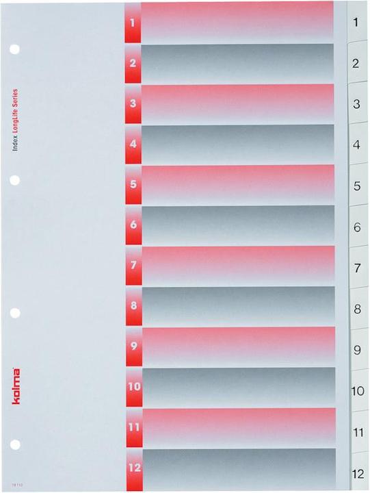 Image du produit Kolma Répertoire LongLife plein format blanc, avec feuille d'index