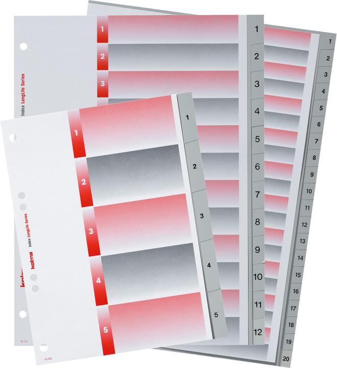 Actual product image Kolma Register A4 superstrong 1-7 7-piece grey