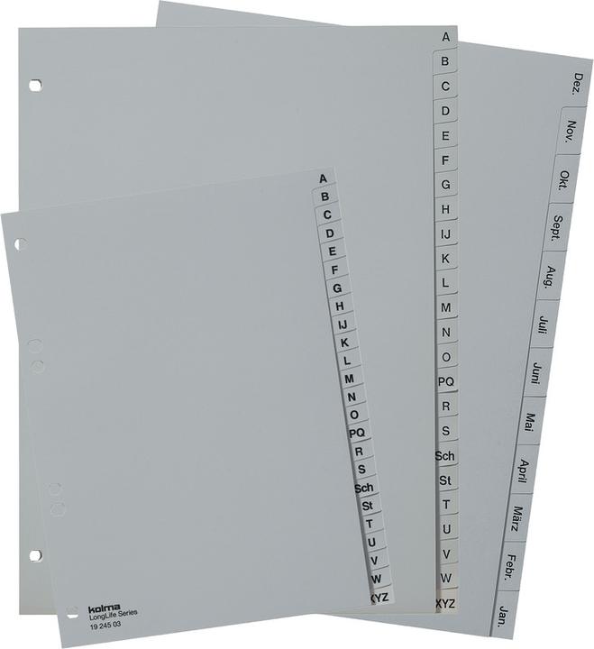 Actual product image Kolma Register LongLife full format grey