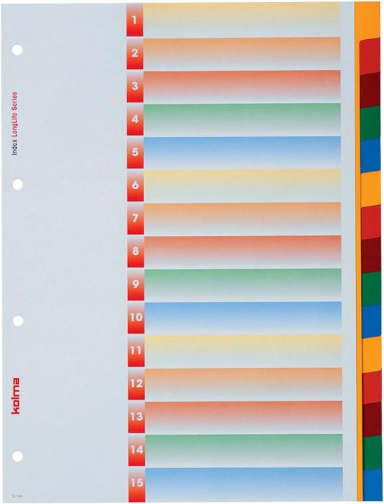 Actual product image Kolma Register LongLife full format colored, with index sheet
