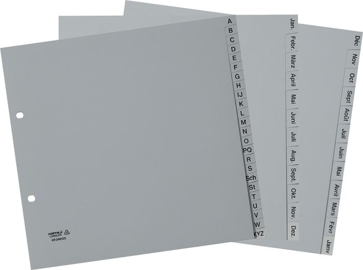 Immagine prodotto Kolma Indice A4 parzialmente opaco Dic-Gen (it) 12 pezzi grigio