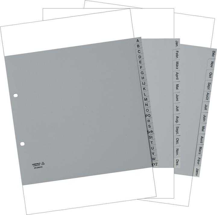 Immagine prodotto Kolma Indice A4 parzialmente opaco Dic-Gen (it) 12 pezzi grigio
