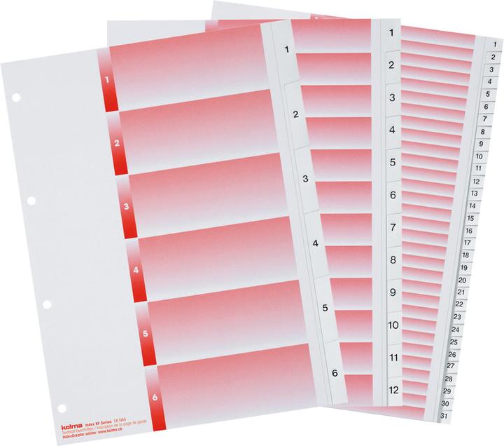 Actual product image Kolma Index A4 strong 1-12 12-piece white