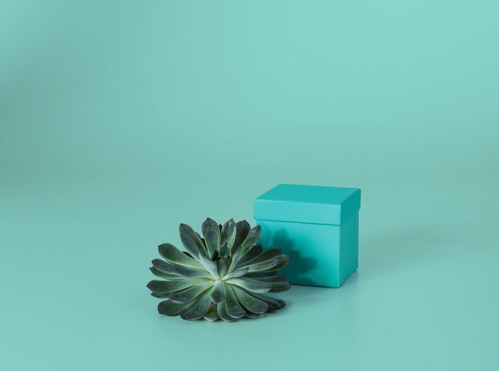 Actual product image Stewo Everyday One Colour (Gift box, 1 x)