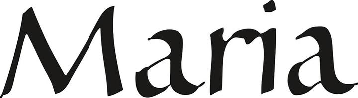 Produktbild Rotring ArtPen Calligraphy Set (Schwarz)