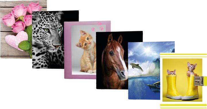 Immagine prodotto Eibert Visual Gattini (160 x 190 mm)