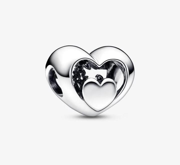 Image du produit Pandora Moments (Argent sterling 925)