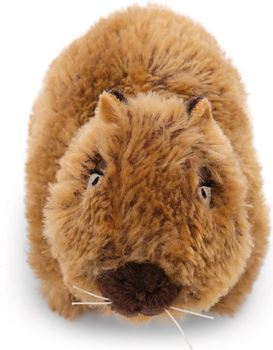 Immagine prodotto NICI Peluche di Capy-Barbara (12 cm)