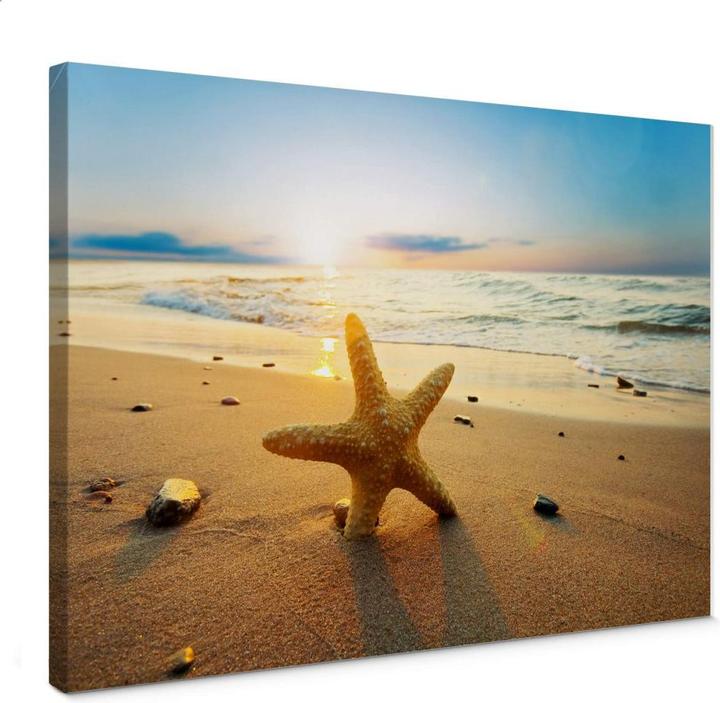 Immagine prodotto Trenddeko Stella marina nella sabbia (60 x 40 cm)