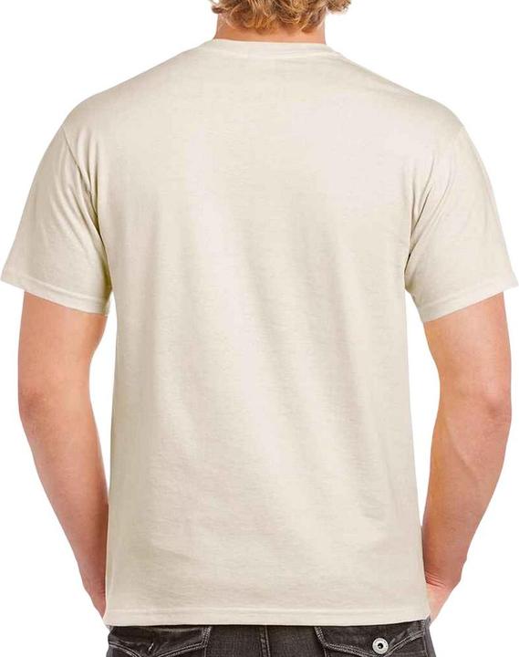 Actual product image Gildan Mens Heavy Cotton T-Shirt (L)