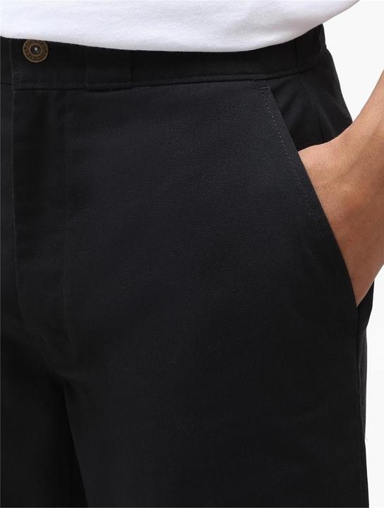Actual product image Dickies Storden Pant (W34/L32)