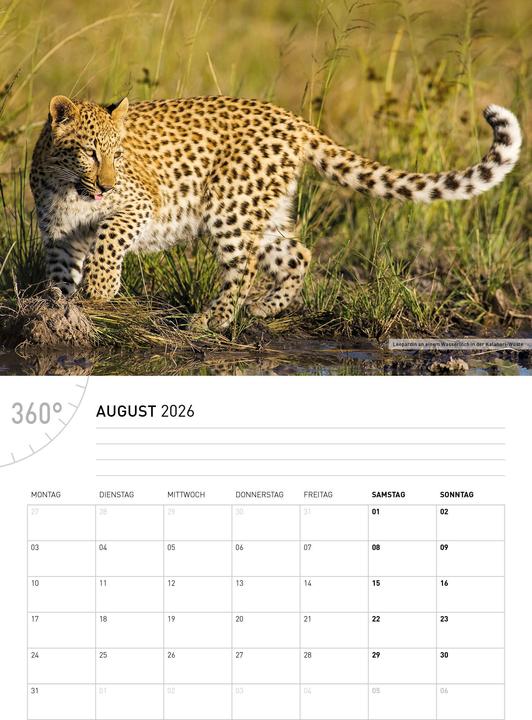 Actual product image NamibiaBrochure calendar2026 (German)