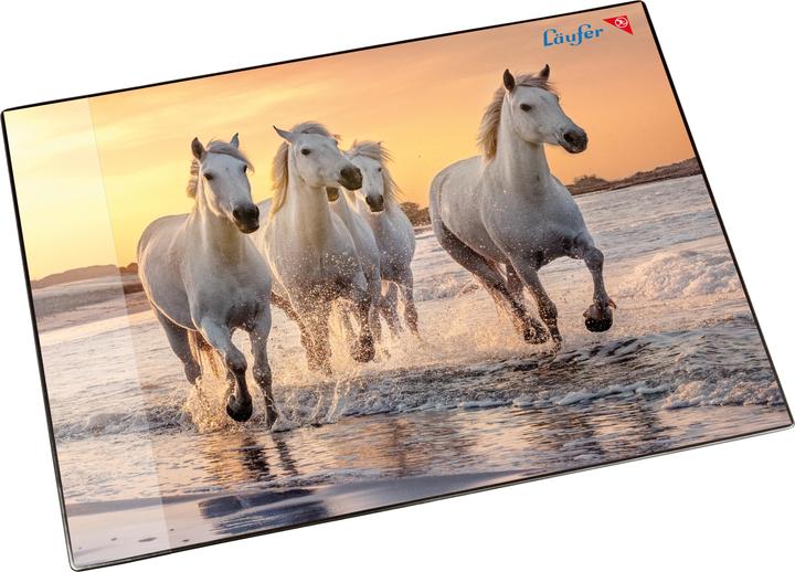 Läufer Cavalli sulla spiaggia (40 x 53 cm)
