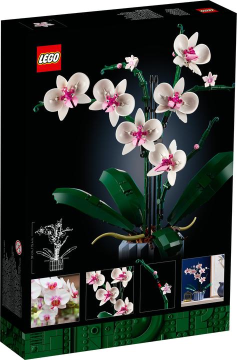 Produktbild LEGO Orchidee (10311, LEGO Botanical)
