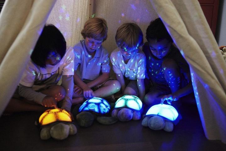 Actual product image Cloud B Twilight Turtle