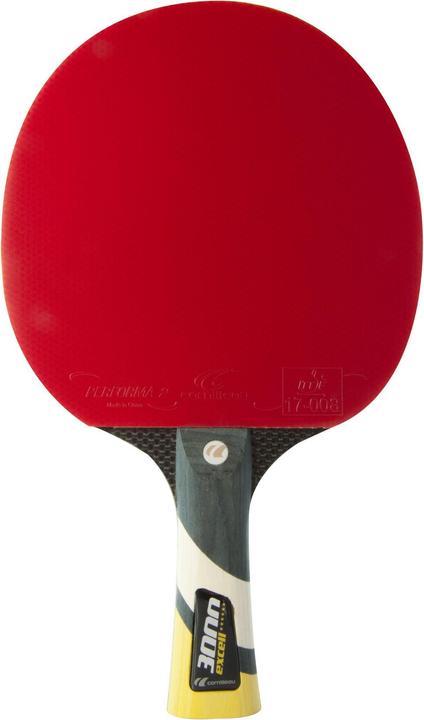 Image du produit Cornilleau Excell3000