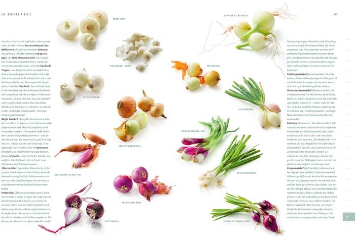Produktbild Aroma Gemüse (Deutsch, Thomas Vierich, Thomas Vilgis, 2021)