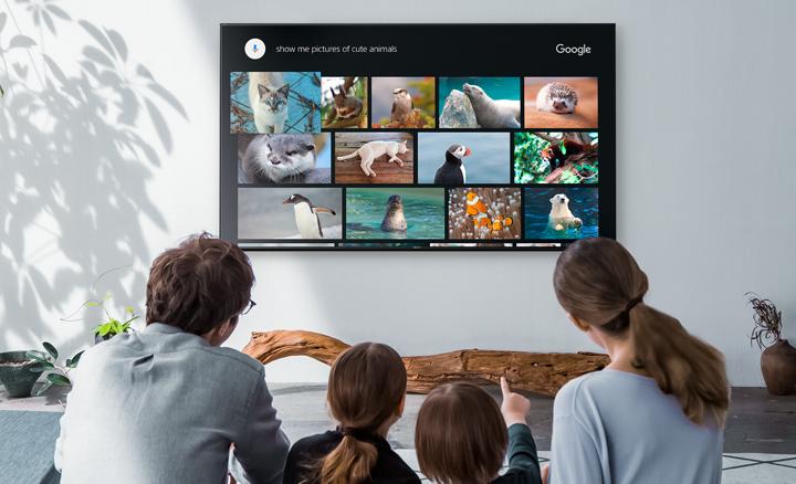Actual product image Sony Kd-85xf8596 (85", LCD, 4K, 2018)