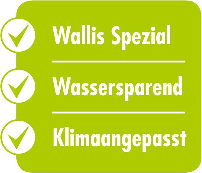 Produktbild Schweizer 13 Stern Rasen (Rasensamen)