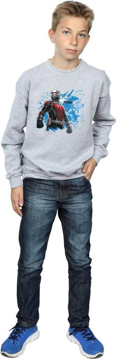Actual product image Boys Ant-Man Standing Sweatshirt (152, 158)