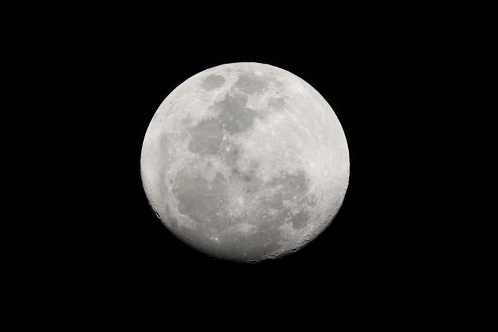 Actual product image Canon RF 200-800mm f/6.3-9 IS USM (Canon RF, full size)