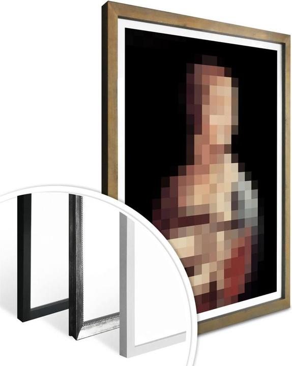 Image du produit Trenddeko Pixelart - da Vinci - La dame à l'hermine (50 x 60 cm)