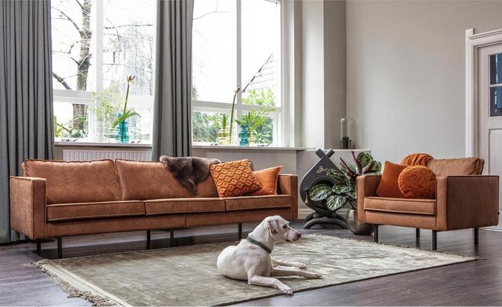Immagine prodotto BePureHome Rodeo