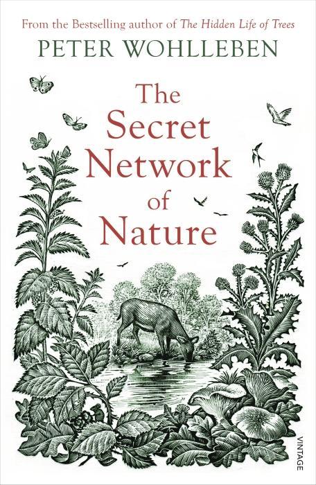 Actual product image The Secret Network of Nature (Peter Wohlleben, English)