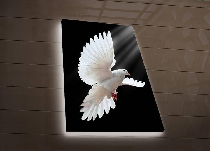 Produktbild Wallxpert Hailey (45 x 70 cm)